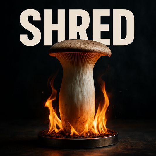 Top 5 Ways King Oyster Mushrooms Torch Belly Fat 🩺