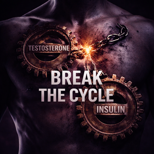 Low Testosterone & Insulin Resistance: The Silent Vicious Cycle