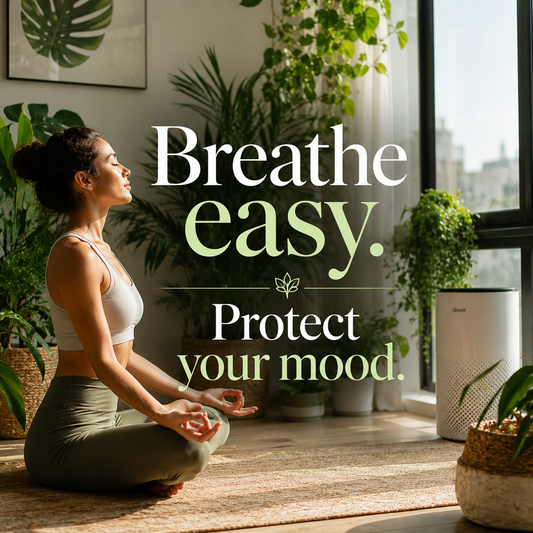 Invisible Sorrow: How Air Pollution Silently Saps Your Joy