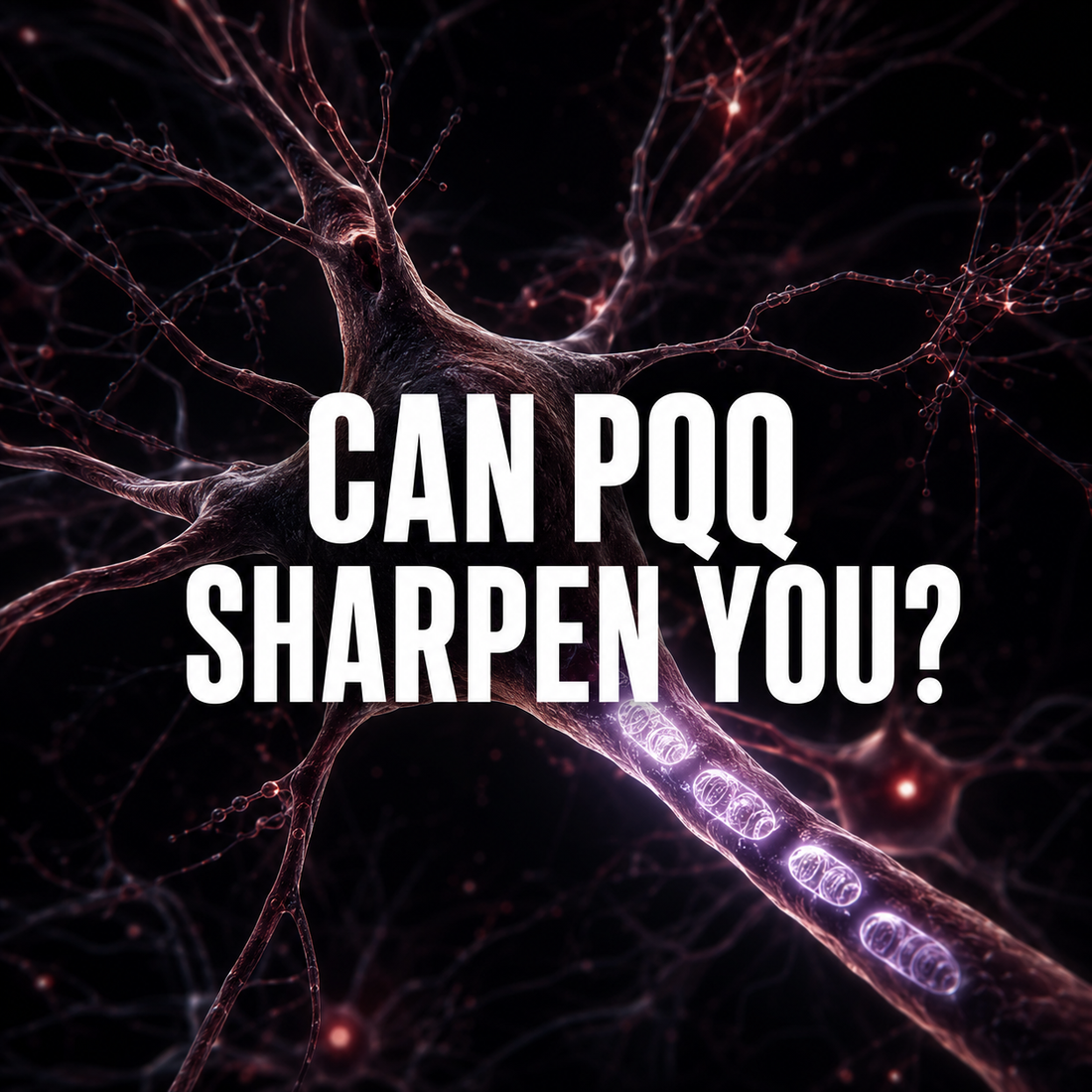 PQQ May Support Attention-But “Brain Booster” Is Doing Too Much Work