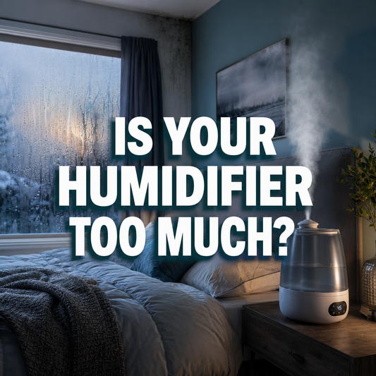 Your Humidifier May Be Turning Comfort Into a Breathing Problem 💨