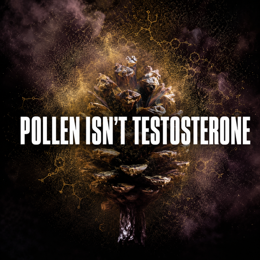 Pine Pollen Is Interesting. The Testosterone Story Is Not Proven.