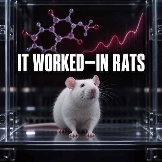 Vitamin K2 Raised Testosterone-In Rats