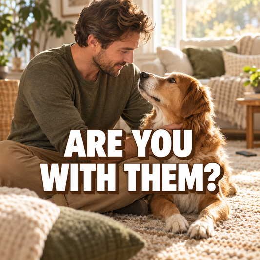 Your Dog Is Not the Wellness Habit-Your Attention Might Be 🐕