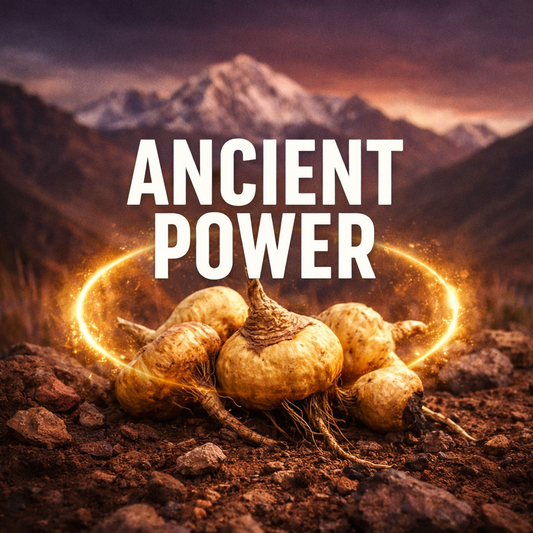 Maca: Ancient Root, Modern Insight