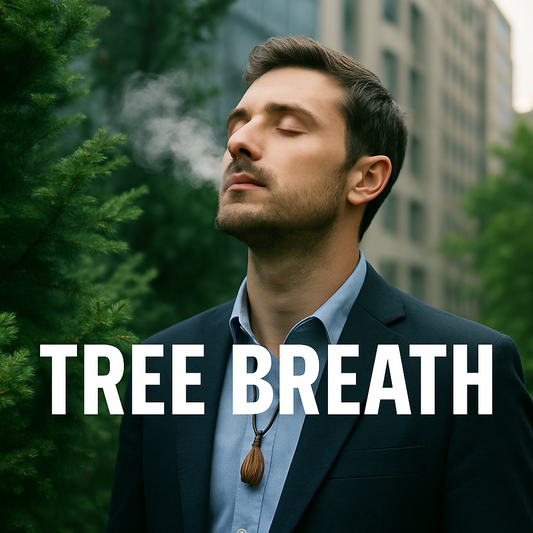 Forest Mist, City Calm 🌲💆‍♂️