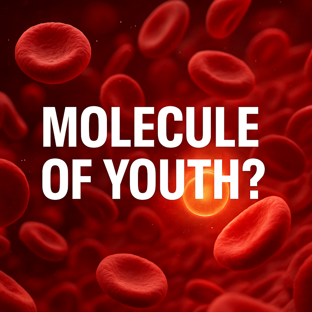 The Fountain in Your Veins: Meet the Molecule That Predicts How You Age 🩸⏳