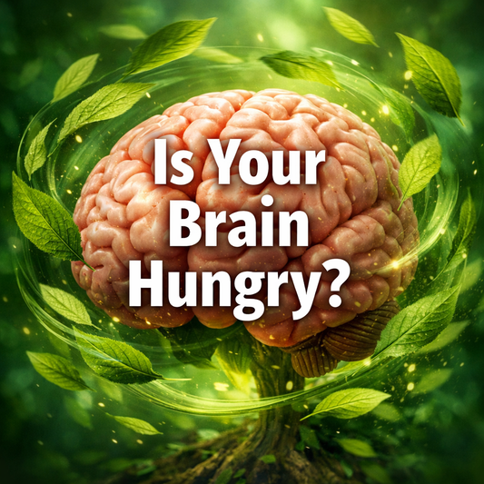 Low Choline, High Anxiety: Nourish Your Brain to Find Calm 🌿